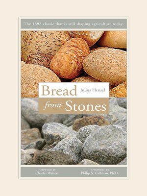 cover image of Bread From Stones